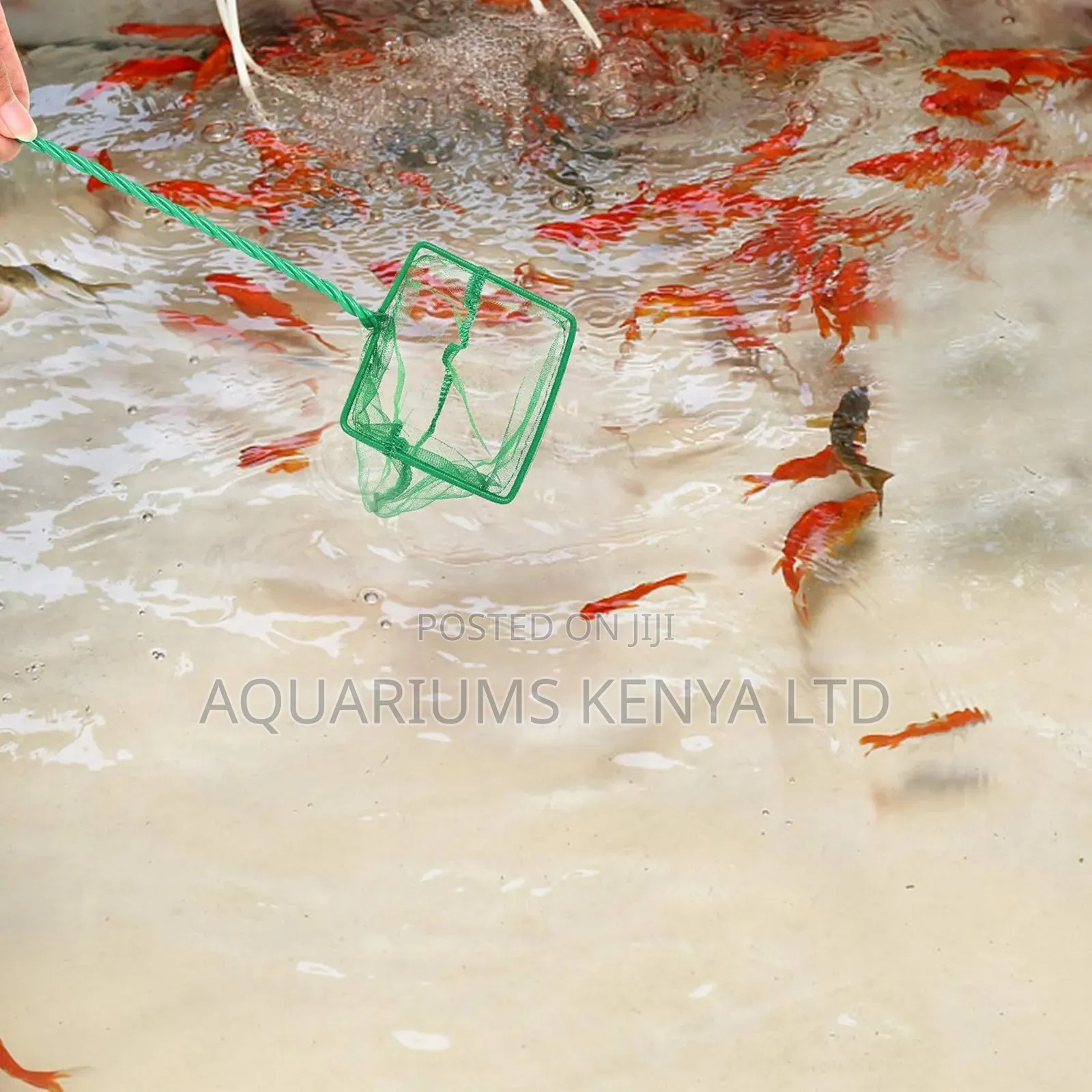 Bubblelift Aquarium Scoop Net