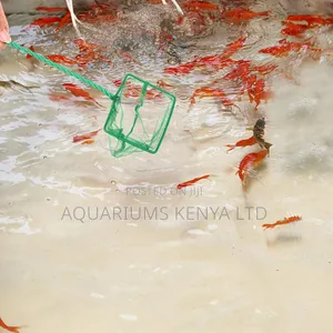 Bubblelift Aquarium Scoop Net