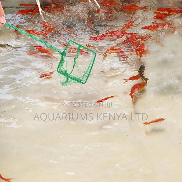 Bubblelift Aquarium Scoop Net - main view