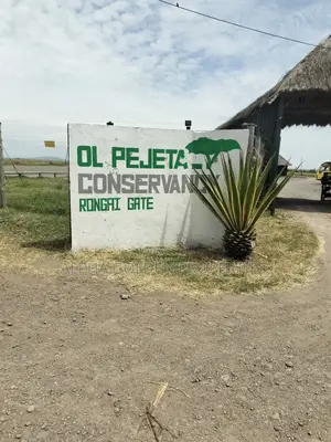 Olpajeta 2 Acres Touching It's Fence
