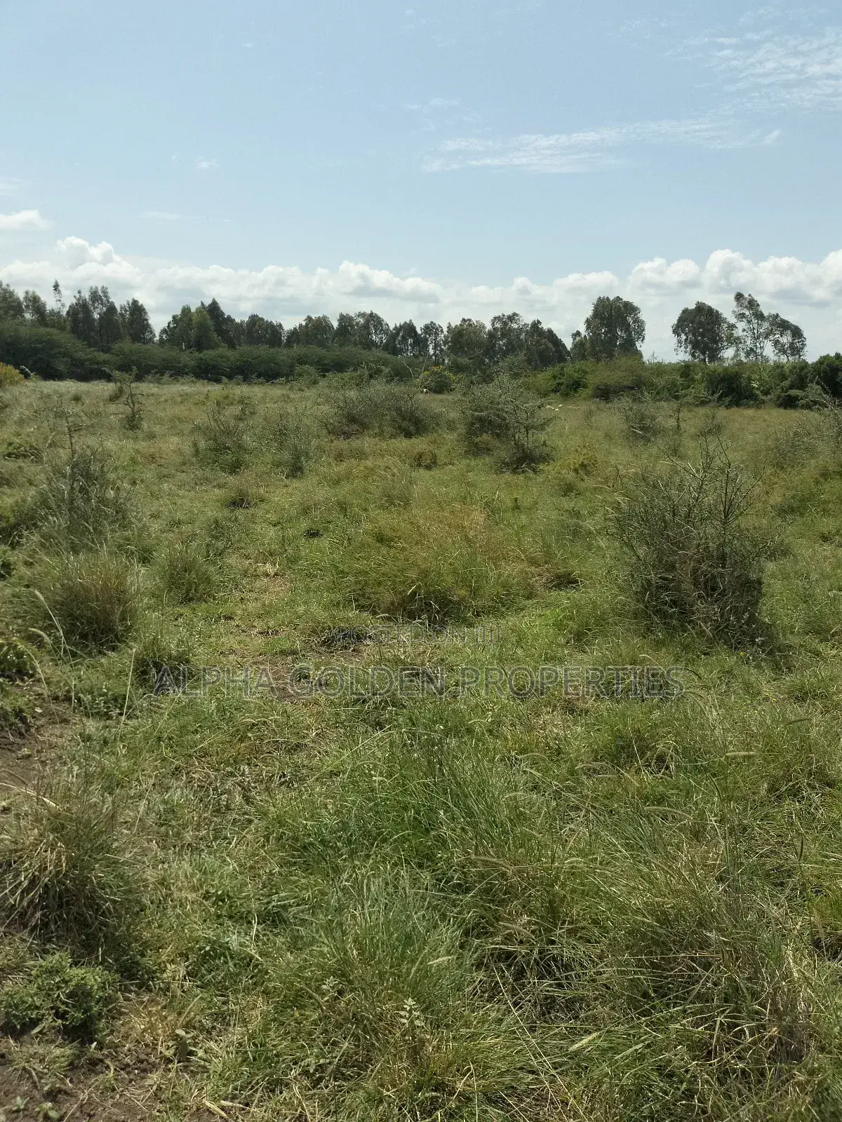 Olpajeta 2 Acres Touching It's Fence