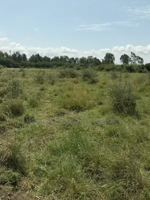 Olpajeta 2 Acres Touching It's Fence