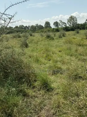 Olpajeta 2 Acres Touching It's Fence
