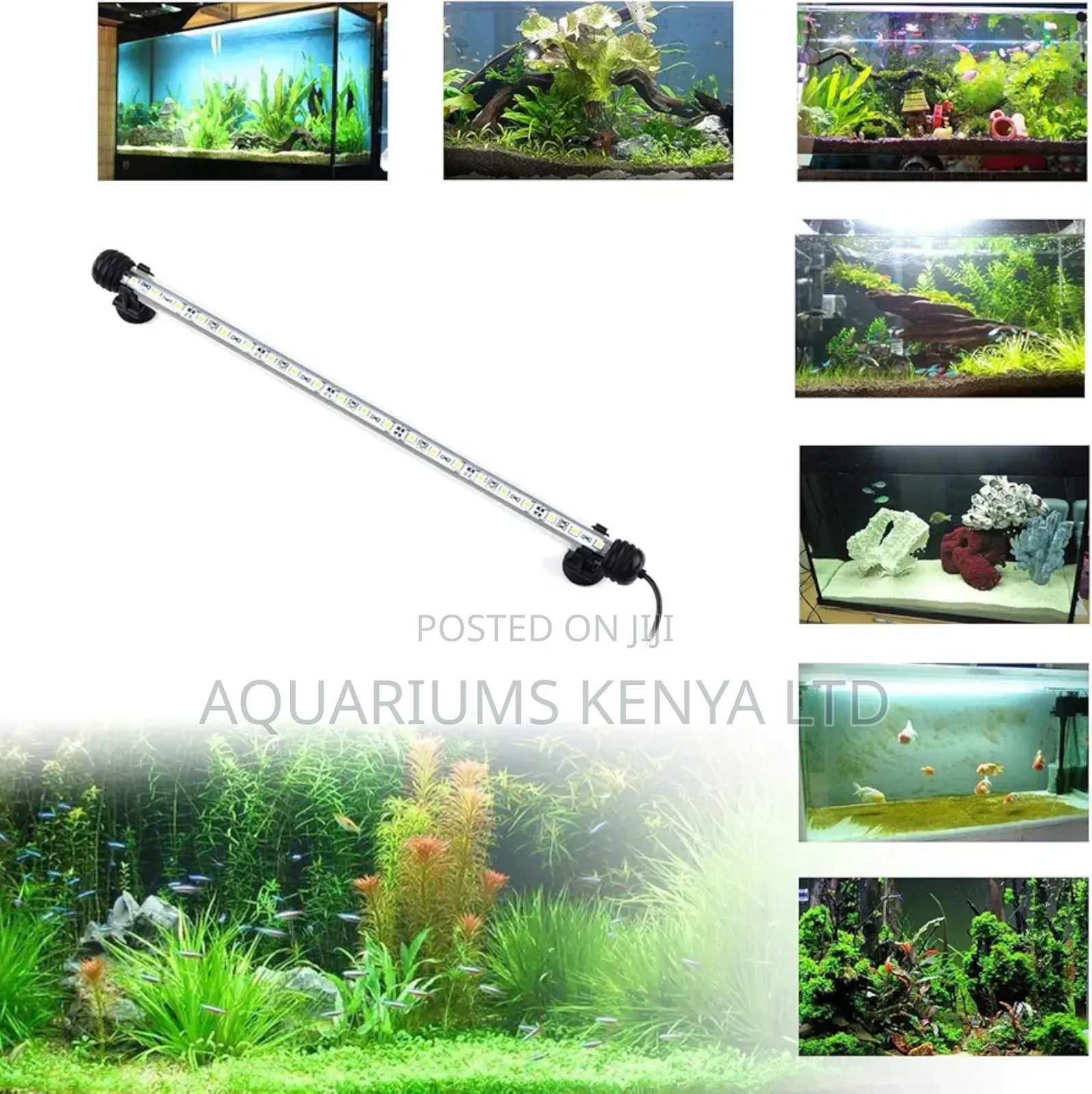 Illuminate Your Aquascape Fullspectrum Submersible Led Light