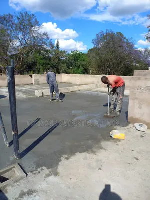 Flatroof Repair Service