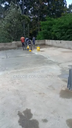 Flatroof Repair Service