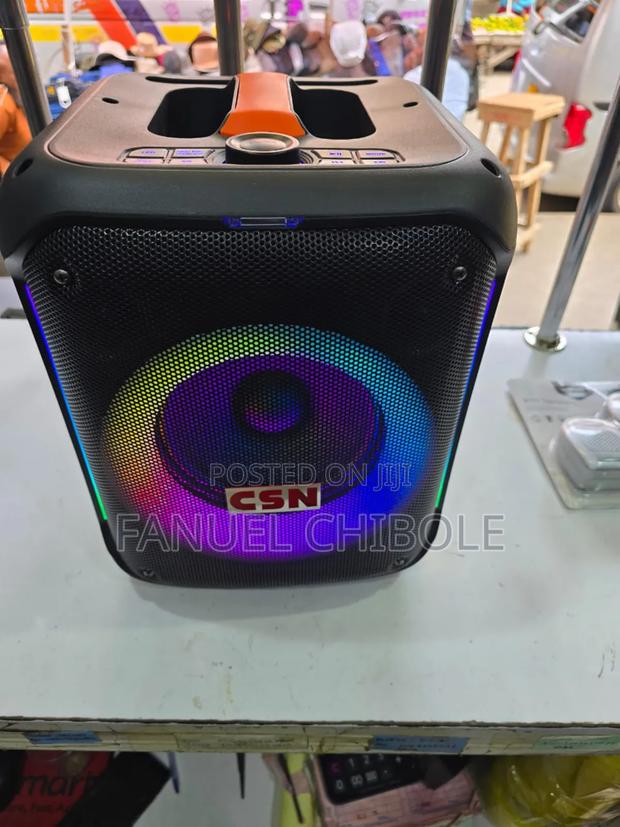 New 8" Rechargeable Speaker With Microphones - main view