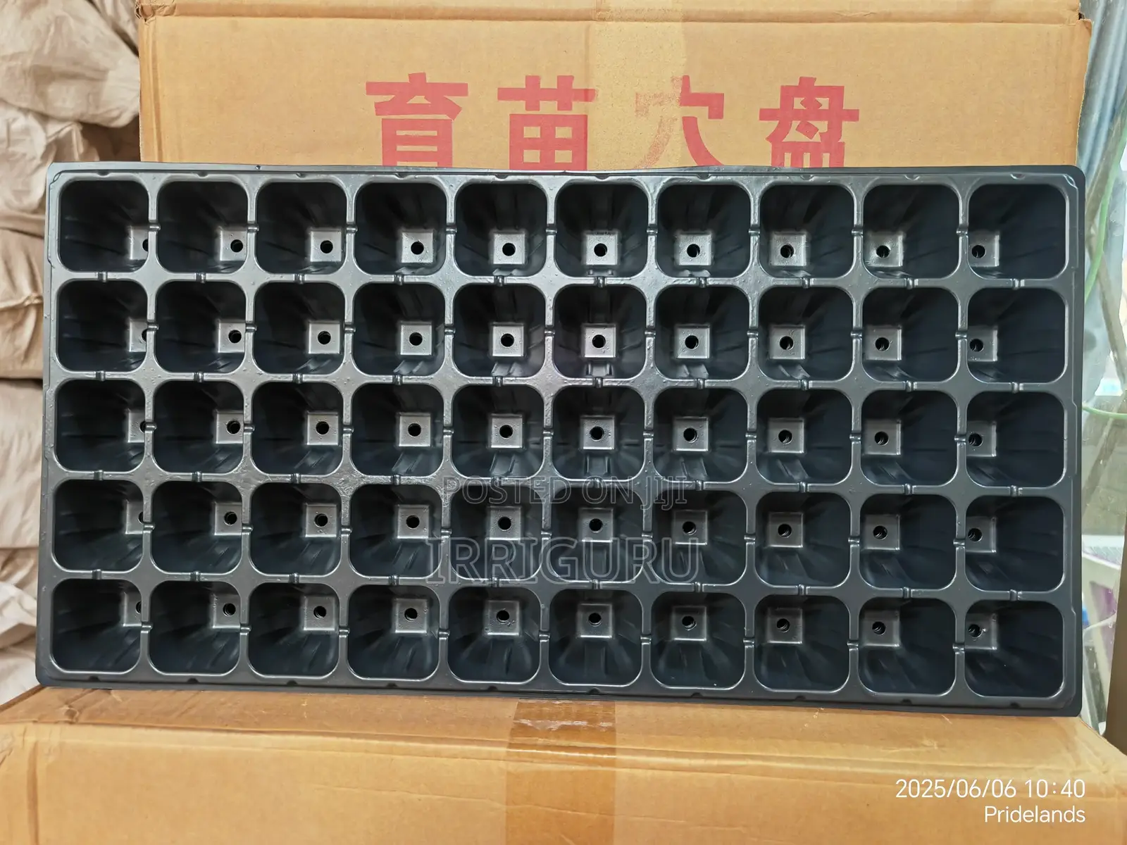Nursery Tray With 50 Holes