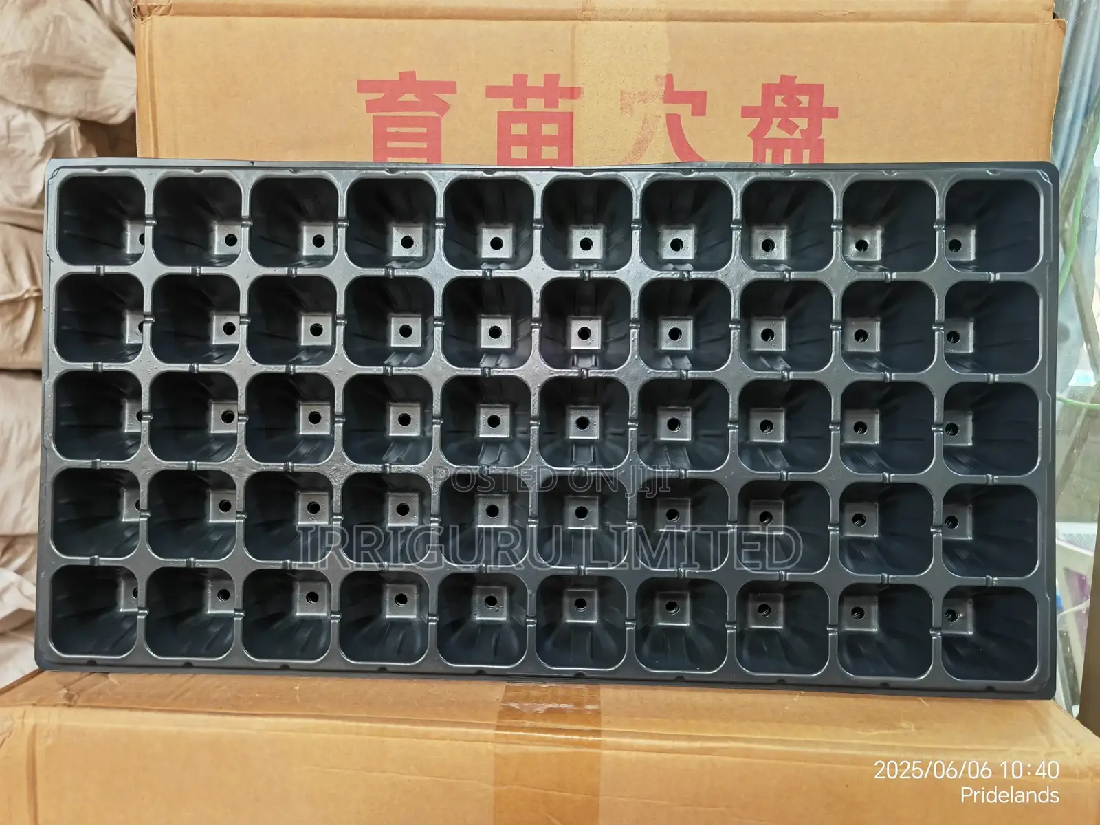 Nursery Tray With 50 Holes