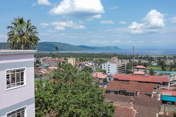 Studio Airbnb in Nakuru Section 58 - thumbnail 13