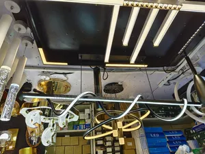 Hanging Light Led
