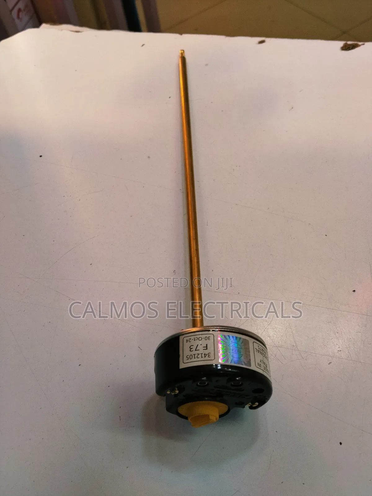 Immersion Thermostat