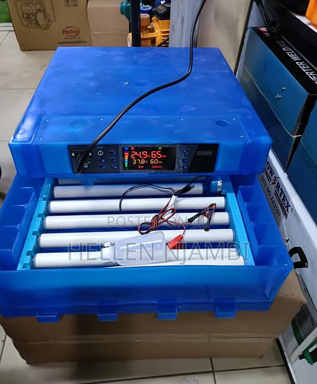 64eggs Ac/Dc Eggs Incubator
