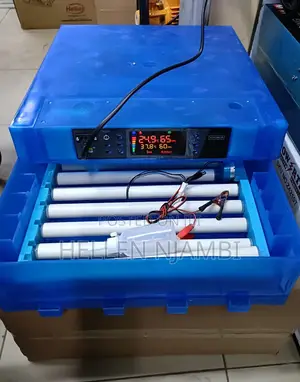64eggs Full Automatic Ac/Dc Egg Incubator