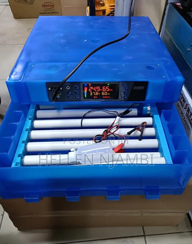 64eggs Full Automatic Ac/Dc Egg Incubator