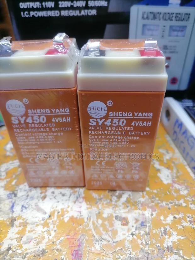 Best Quality 5ah 4v Scale Battery