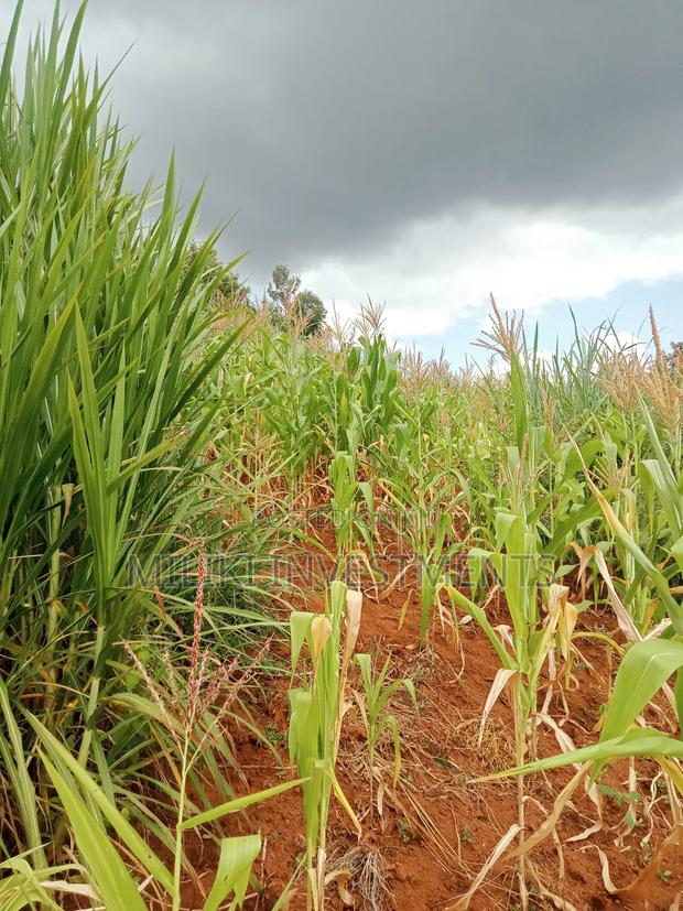 1 Acre Land for Sale at Makuyu -Mihang'0 - main view