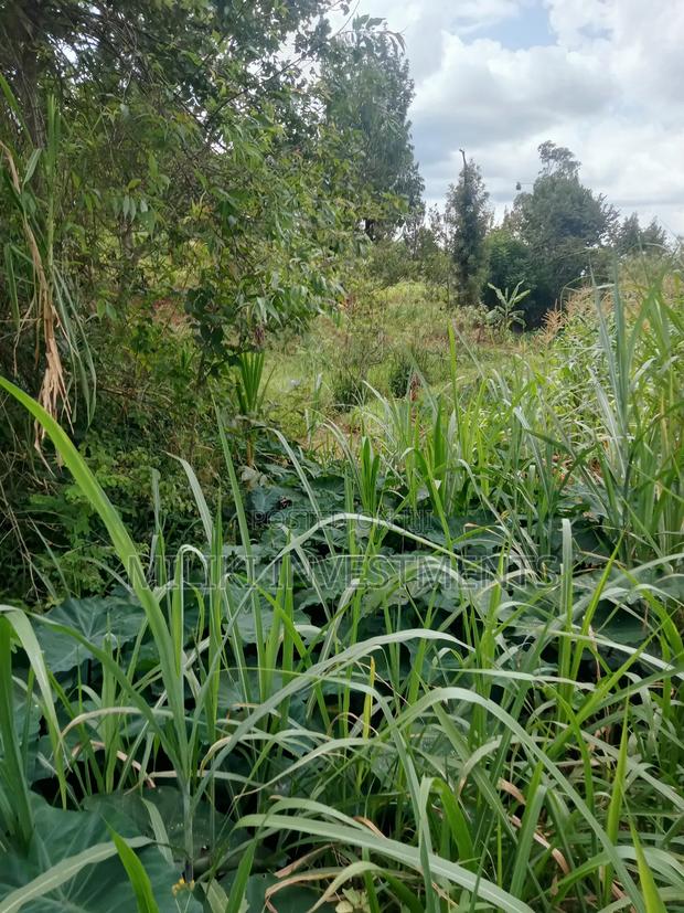 1 Acre Land for Sale at Makuyu -Mihang'0 - thumbnail 5