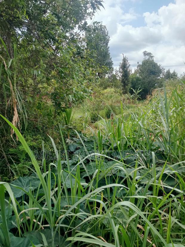 1 Acre Land for Sale at Makuyu -Mihang'0 - thumbnail 6