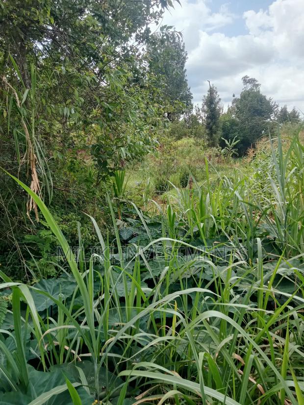 1 Acre Land for Sale at Makuyu -Mihang'0 - thumbnail 7