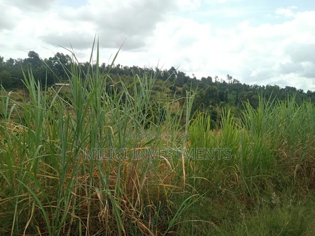 1 Acre Land for Sale at Makuyu -Mihang'0 - thumbnail 9