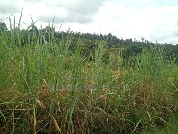 1 Acre Land for Sale at Makuyu -Mihang'0 - thumbnail 12