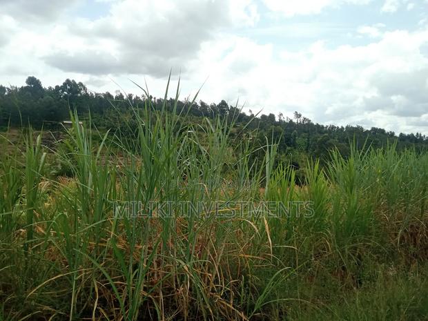 1 Acre Land for Sale at Makuyu -Mihang'0 - thumbnail 13