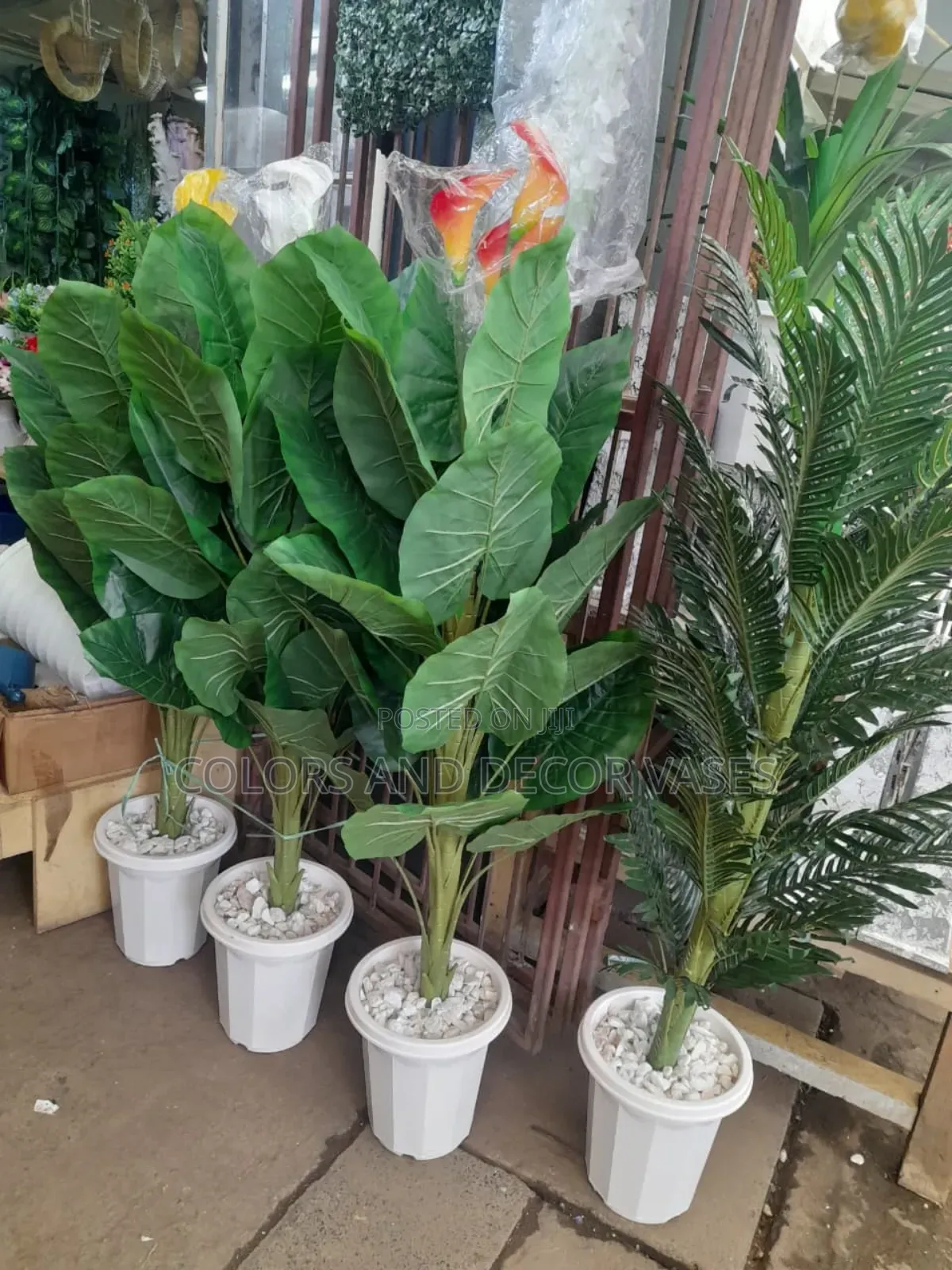 Long Flowered Plants With White Vases