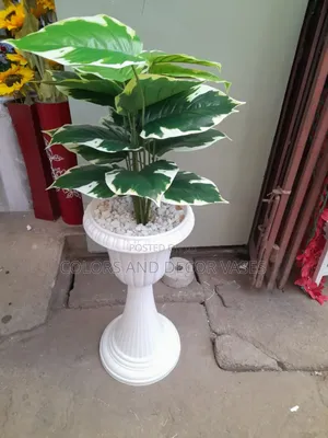 Plant in Long White Vase Plus Pebble Stones
