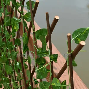 With This Bamboo Fence Every Look Looks Charming