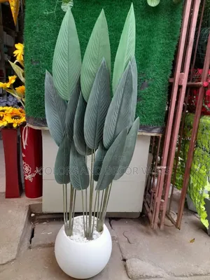 Round Plastic Vase With Banana Plant