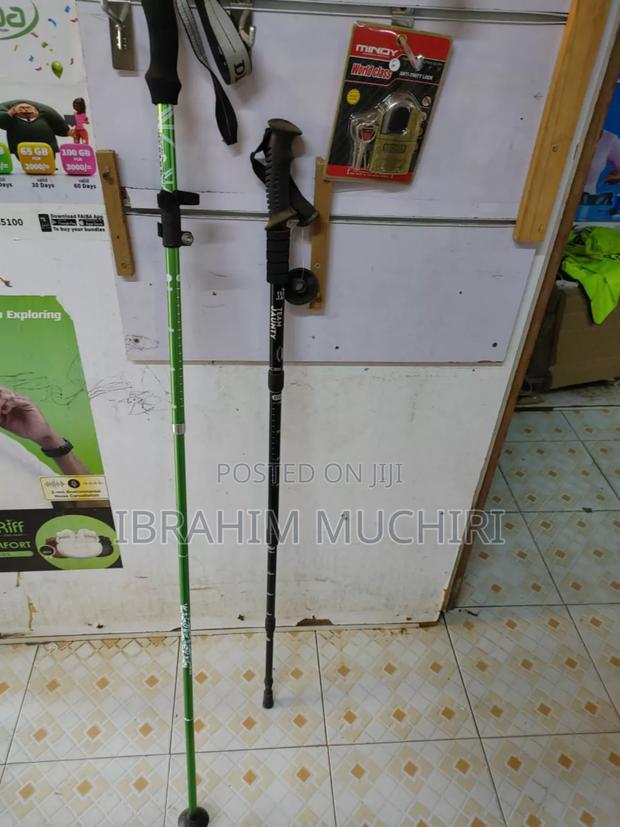 Hiking Sticks Walking - thumbnail 4