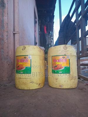 Rabbit Urine - main view