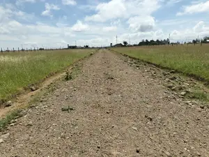 Narumoru, 50/100 Plots on Tarmac