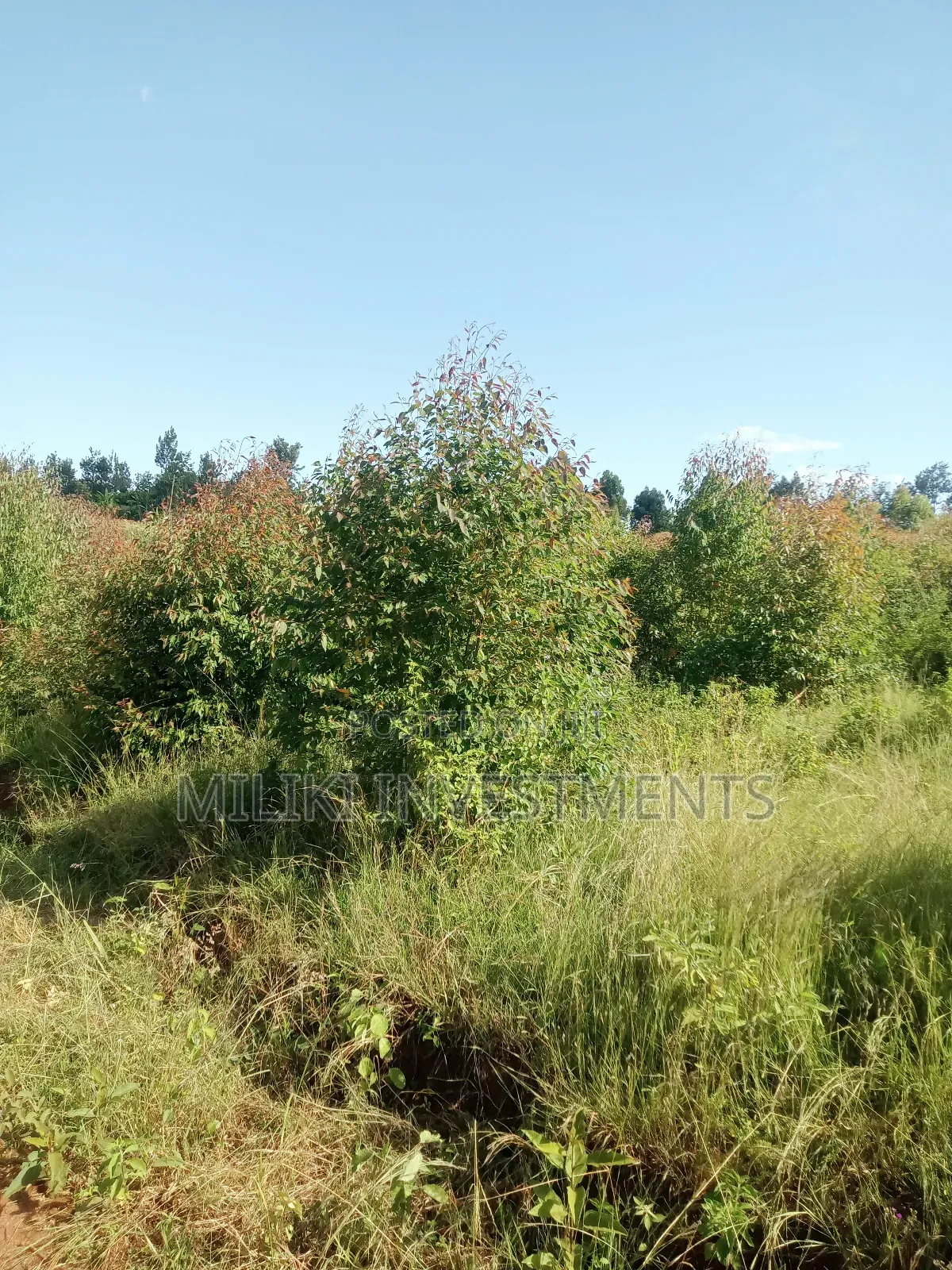 2 Acres on Sale at Makuyu-Gathaitì.