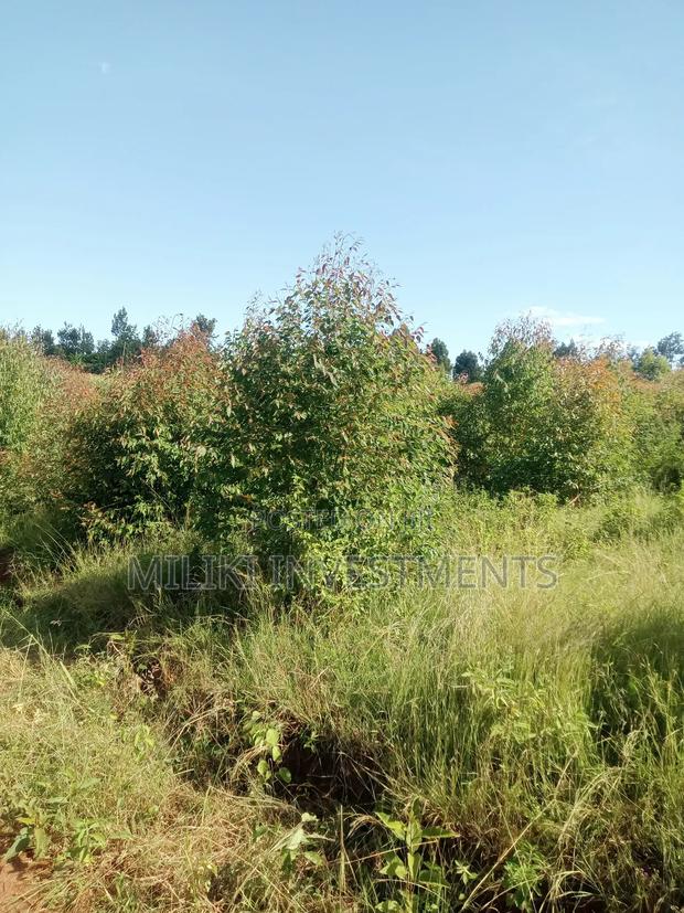 2 Acres on Sale at Makuyu-Gathaitì.