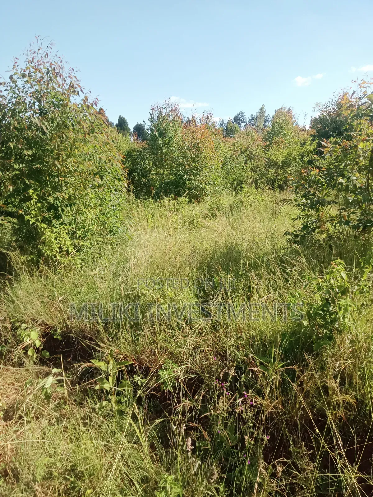 2 Acres on Sale at Makuyu-Gathaitì.