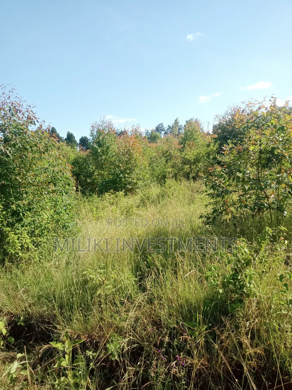 2 Acres on Sale at Makuyu-Gathaitì.