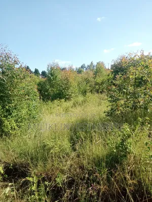 2 Acres on Sale at Makuyu-Gathaitì.