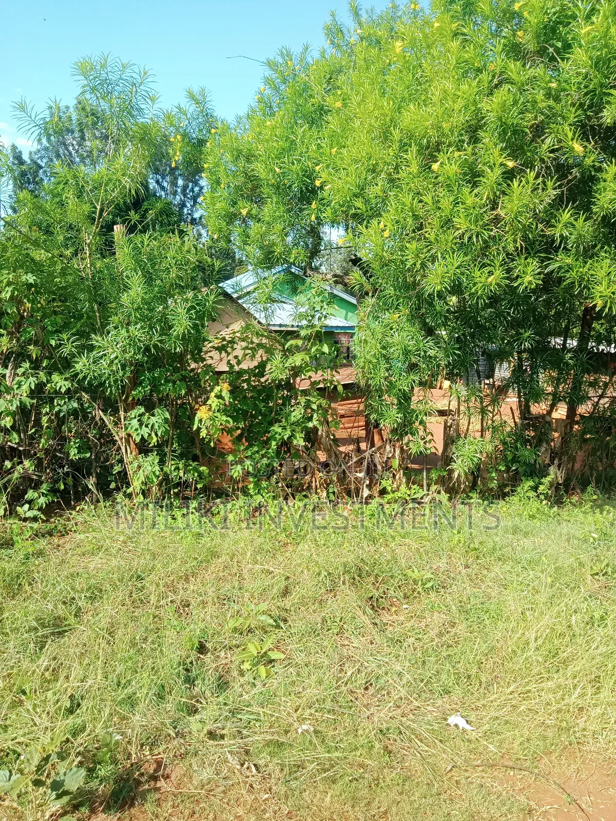 2 Acres on Sale at Makuyu-Gathaitì.