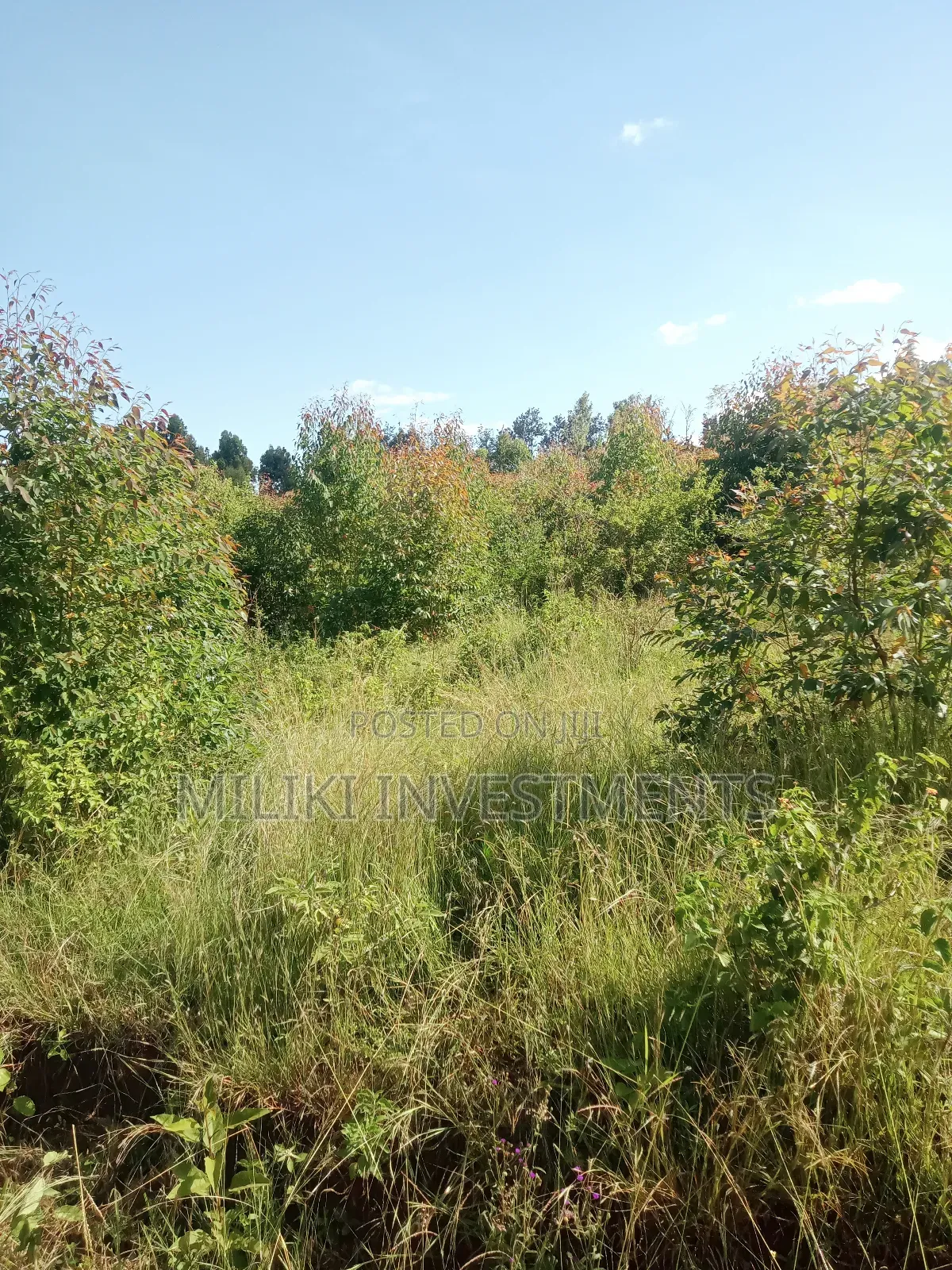 2 Acres on Sale at Makuyu-Gathaitì.