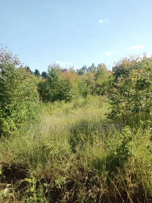 2 Acres on Sale at Makuyu-Gathaitì.