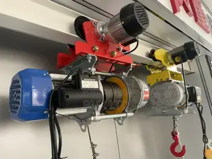 Sell High-Quality Capacity 1.5t Lifting Height 30m Hoist