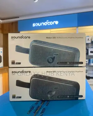 Anker Soundcore Motion 300 Speaker