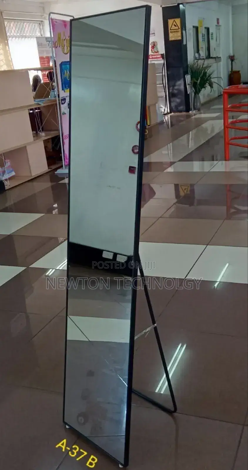 Standing Mirror Dressing Mirror