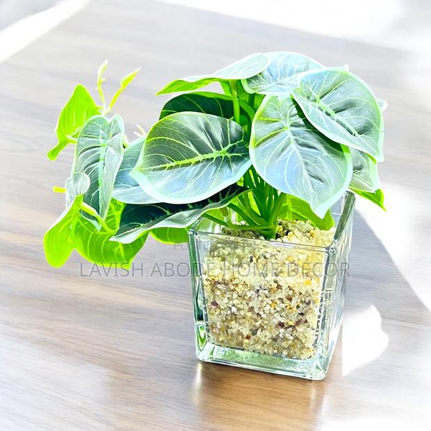 Artificial Succulents for Bathroom Shelf Decor