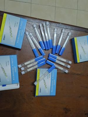 Clinical Thermometer - thumbnail 2