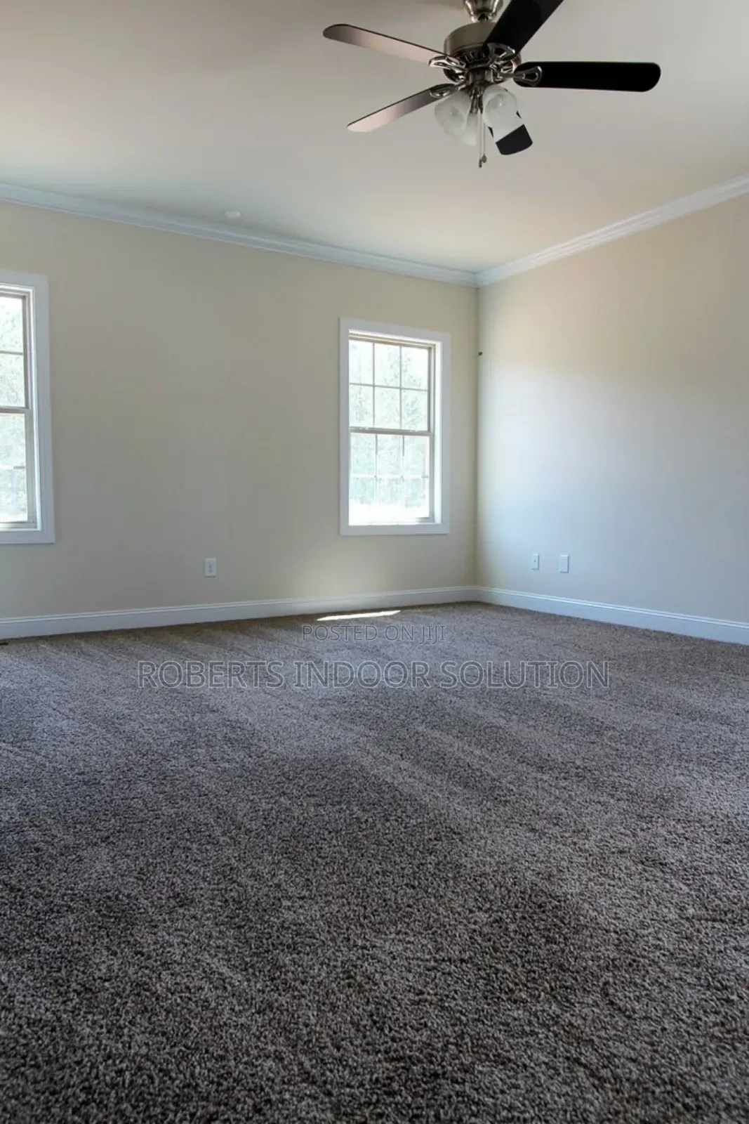 Delta Carpet a Symphony of a Texture and Color