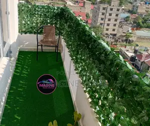 Eco Friendly Green Fences for Home