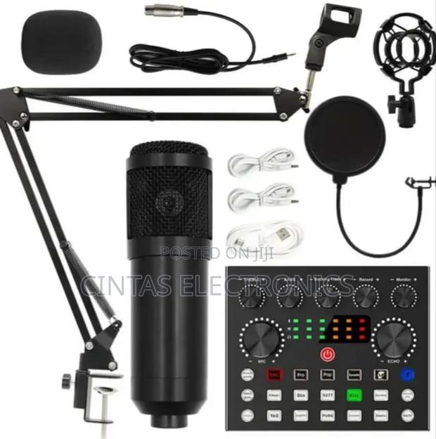 V8 Professional Condenser Microphone